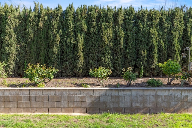 246 3rd St, Solvang, CA 93463 - view of yard