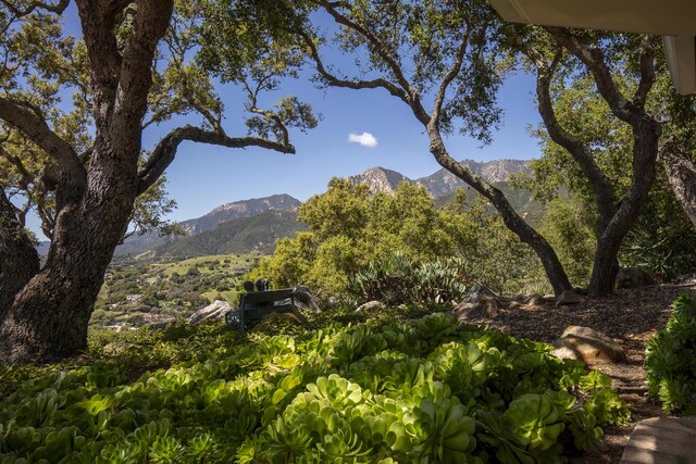 450 El Cielito Rd, Santa Barbara, CA 93105 - photo 21