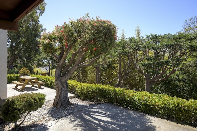 1649 Miramesa Dr, Santa Barbara, CA 93109 - surrounding community with a patio