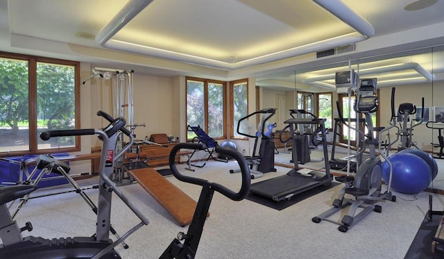 4477 Shadow Hills Blvd Unit A, Santa Barbara, CA 93105 - workout area with plenty of natural light, a tray ceiling, and carpet floors