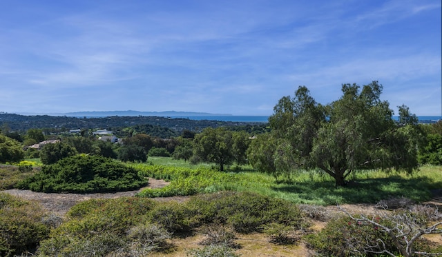 4477 Shadow Hills Blvd Unit A, Santa Barbara, CA 93105 - view of mountain backdrop