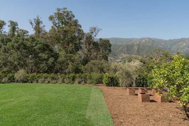 99 Sierra Vista Rd, Santa Barbara, CA 93108 - view of green lawn with a mountain view