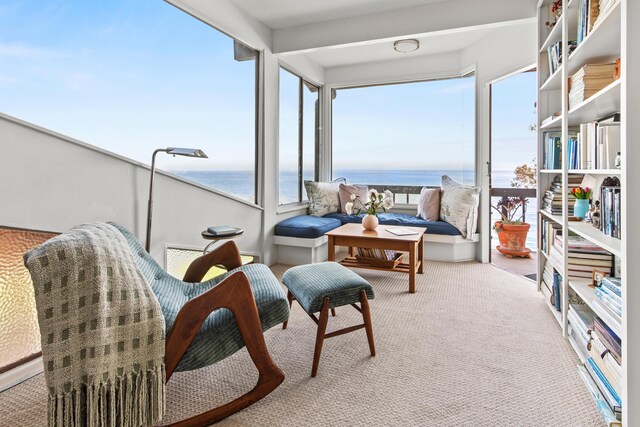5325 Dorwin Ln, Santa Barbara, CA 93111 - photo 17