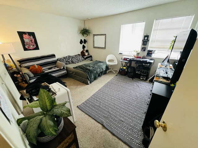 459 Linfield Pl, Goleta, CA 93117 - bedroom with carpet flooring and a textured ceiling