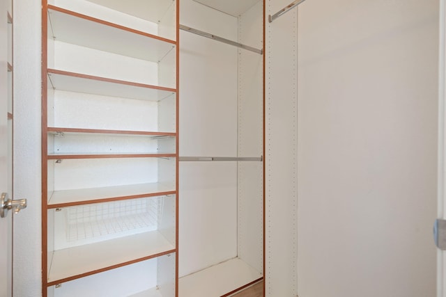 598 Poppyfield Pl, Goleta, CA 93117 - view of walk in closet