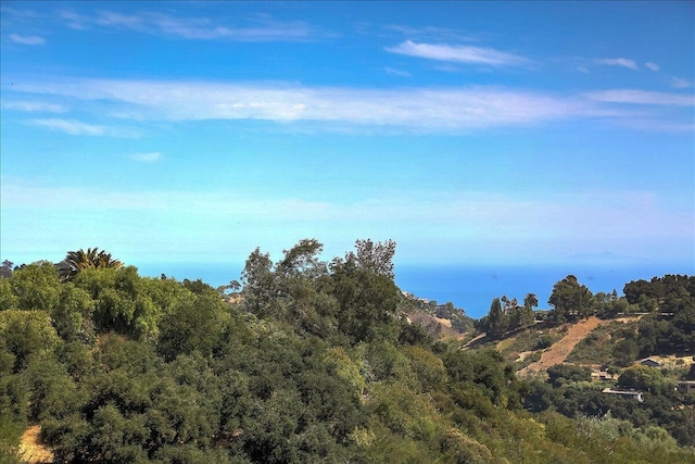 960 W Mountain Dr, Santa Barbara, CA 93103 - photo 8