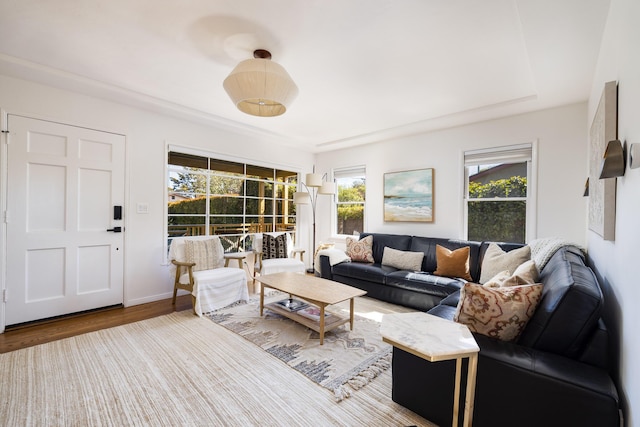 355 Palisades Dr, Santa Barbara, CA 93109 - living room featuring wood finished floors and baseboards