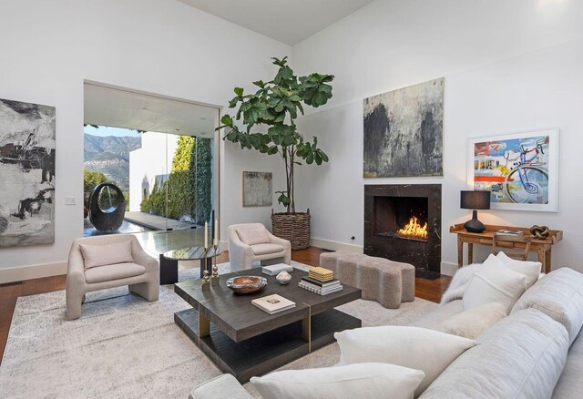 356 Woodley Rd, Montecito, CA 93108 - living area with wood finished floors, a premium fireplace, baseboards, and a mountain view