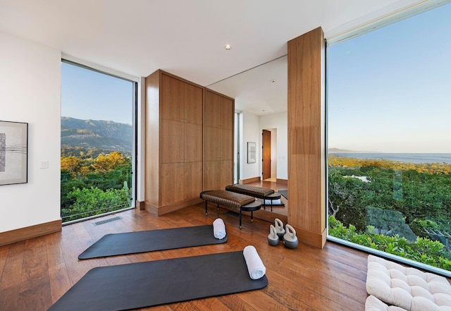 356 Woodley Rd, Montecito, CA 93108 - exercise area featuring hardwood / wood-style floors, expansive windows, and healthy amount of natural light