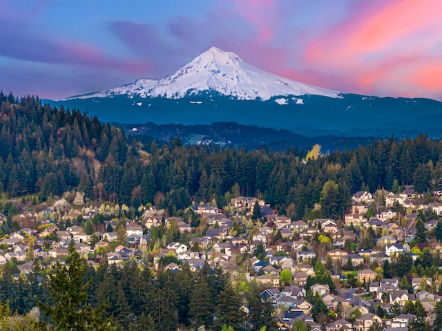 11719 SE Solomon Ct, Happy Valley, OR 97086 - view of mountain background with a heavily wooded area and nearby suburban area