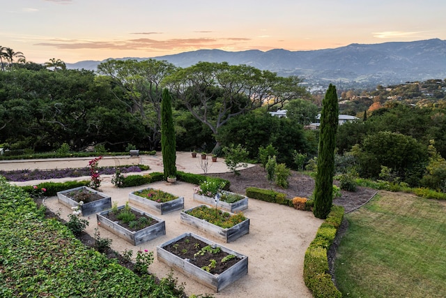 4451 Via Alegre, Santa Barbara, CA 93110 - surrounding community featuring a mountain view and a garden