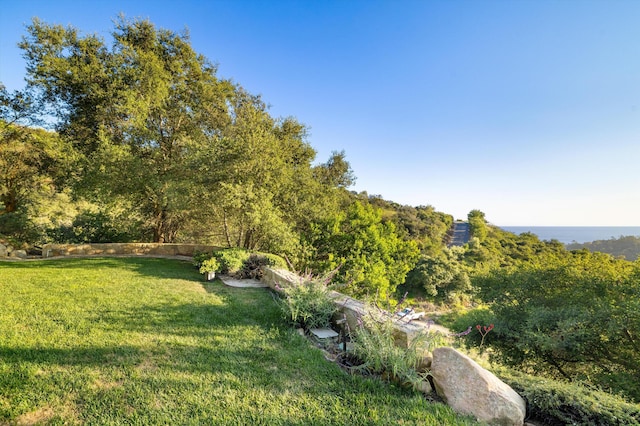 892 Toro Canyon Rd, Montecito, CA 93108 - view of grassy yard