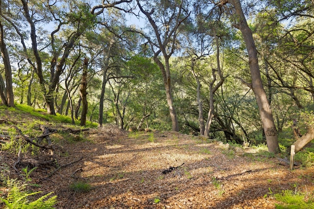 5150 E Camino Cielo, Santa Barbara, CA 93105 - view of undeveloped land