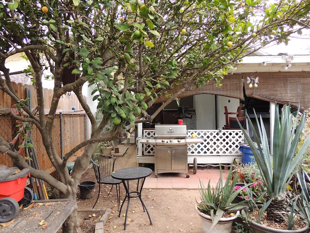 1307 San Andres St, Santa Barbara, CA 93101 - view of patio with grilling area