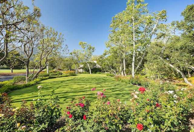 500 Eastgate Ln, Montecito, CA 93108 - photo 6
