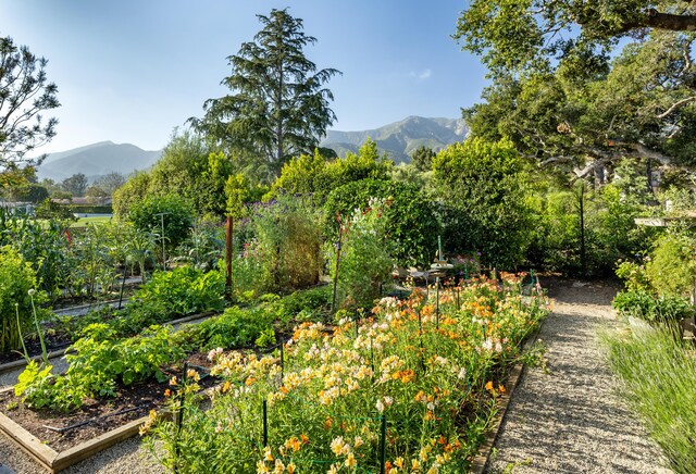 500 Eastgate Ln, Montecito, CA 93108 - photo 12