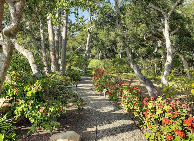 500 Eastgate Ln, Montecito, CA 93108 - photo 15