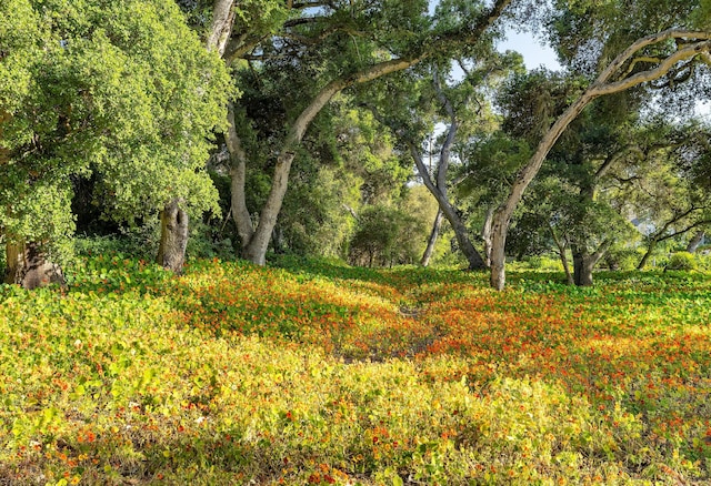 500 Eastgate Ln, Montecito, CA 93108 - photo 16