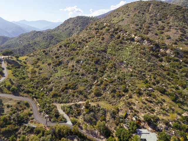 1797 N Foothill Rd, Ojai, CA 93023