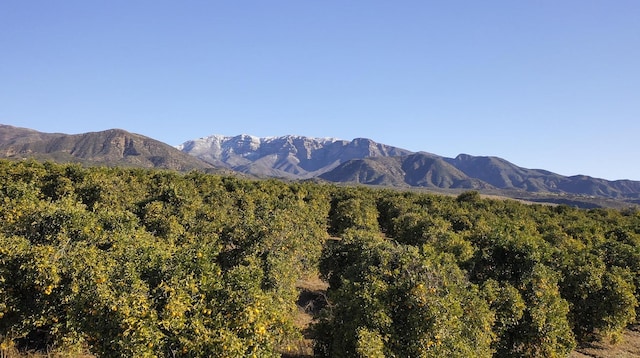 1797 N Foothill Rd, Ojai, CA 93023