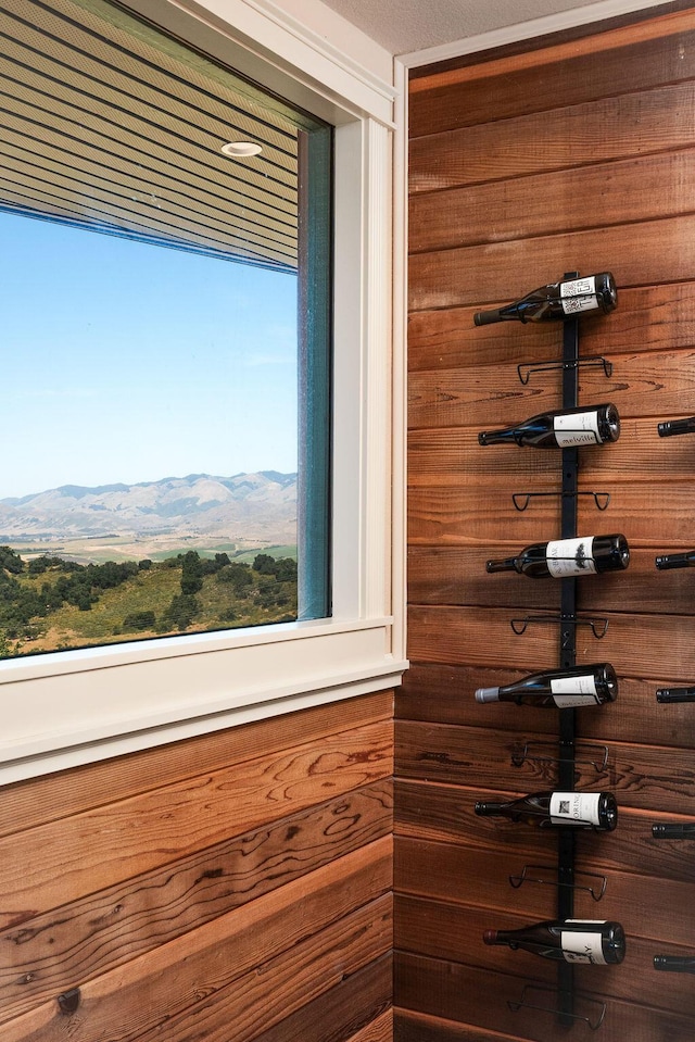 1110 Deer Canyon Rd, Arroyo Grande, CA 93420 - view of wine area