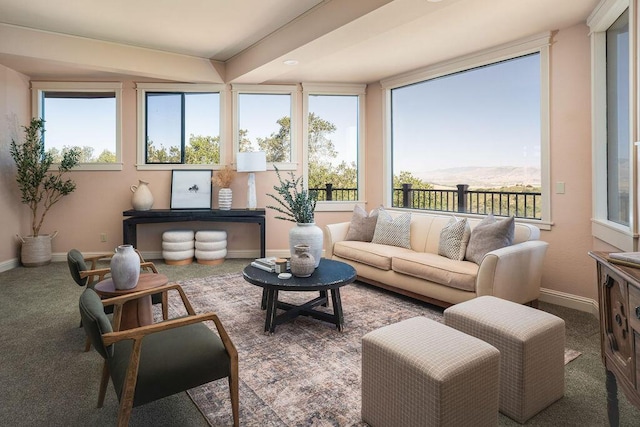 1110 Deer Canyon Rd, Arroyo Grande, CA 93420 - view of sunroom / solarium