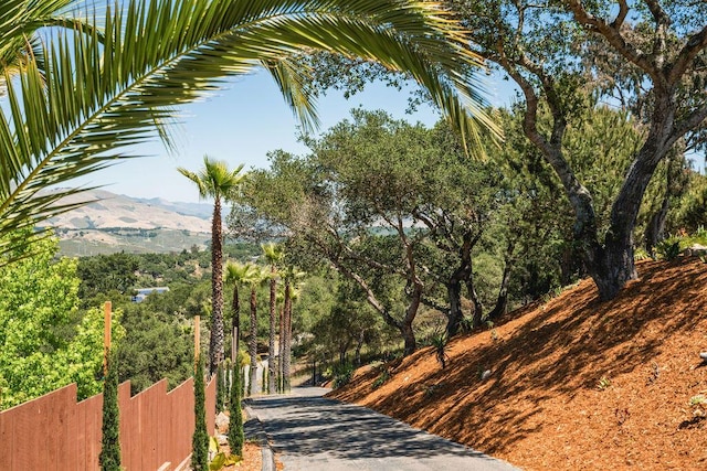 1110 Deer Canyon Rd, Arroyo Grande, CA 93420 - view of road with a mountain view
