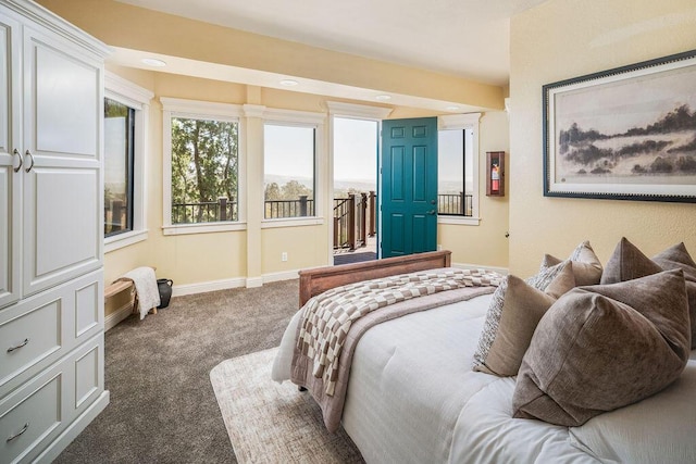 1110 Deer Canyon Rd, Arroyo Grande, CA 93420 - bedroom featuring carpet floors, baseboards, and recessed lighting