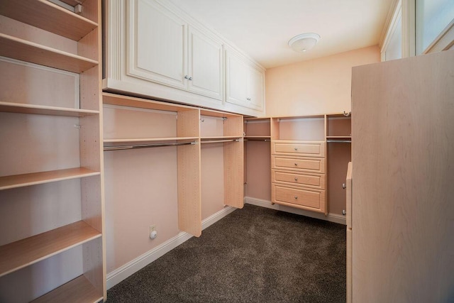 1110 Deer Canyon Rd, Arroyo Grande, CA 93420 - walk in closet with dark colored carpet