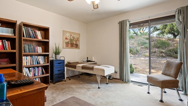 1010 Portesuello Ave, Santa Barbara, CA 93105 - carpeted office with ceiling fan
