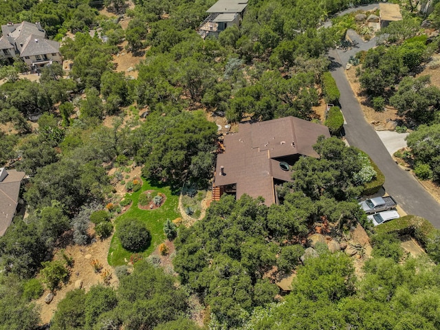 2031 Cielito Ln, Santa Barbara, CA 93105 - aerial view of property and surrounding area