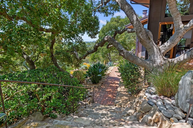 2031 Cielito Ln, Santa Barbara, CA 93105 - view of yard