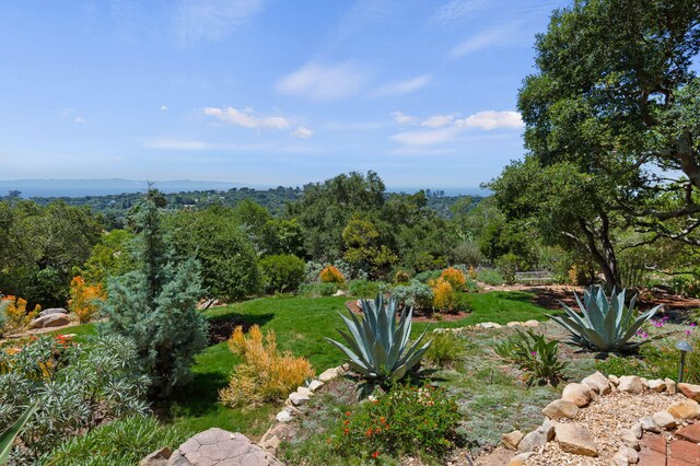 2031 Cielito Ln, Santa Barbara, CA 93105 - view of yard