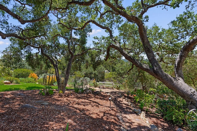 2031 Cielito Ln, Santa Barbara, CA 93105 - view of yard