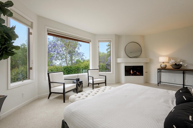 4477 S Shadow Hills Blvd Unit E, Santa Barbara, CA 93105 - carpeted bedroom featuring a fireplace and baseboards