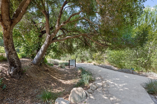 5487 Tree Farm Ln, Santa Barbara, CA 93111 - photo 28
