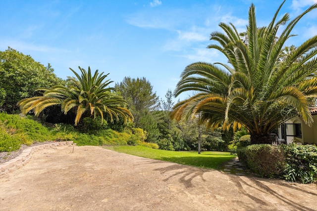 1151 Glenview Rd, Montecito, CA 93108 - view of yard