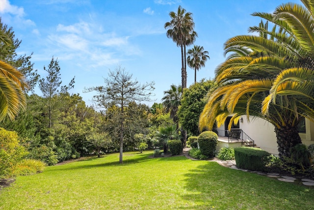 1151 Glenview Rd, Montecito, CA 93108 - view of grassy yard