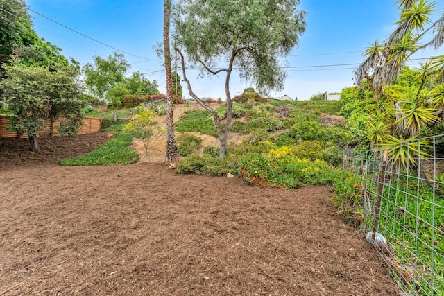 730 Meigs Rd, Santa Barbara, CA 93109 - view of yard