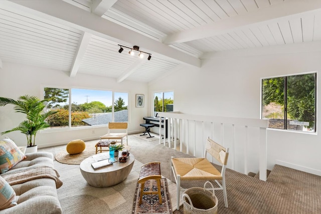 730 Meigs Rd, Santa Barbara, CA 93109 - living room with track lighting, carpet flooring, and baseboards
