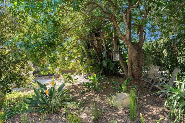 530 Ricardo Ave, Santa Barbara, CA 93109 - view of yard