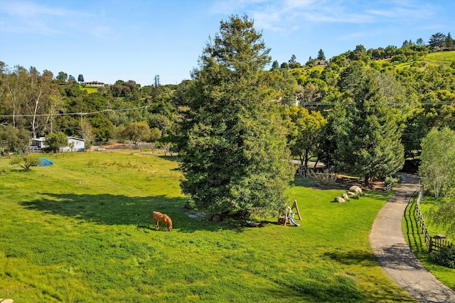 7040 Gobernador Canyon Rd, Carpinteria, CA 93013 - photo 5