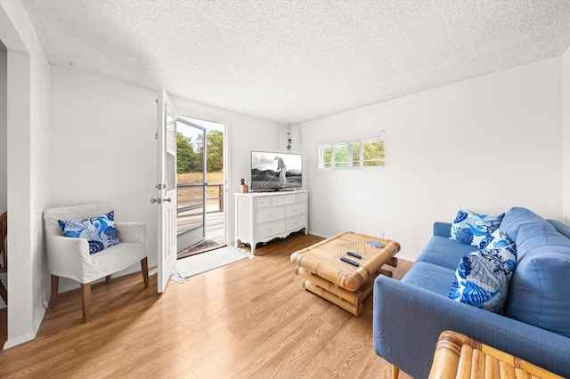 7040 Gobernador Canyon Rd, Carpinteria, CA 93013 - photo 24