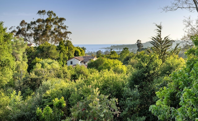 1029 Alston Rd, Montecito, CA 93108 - photo 3