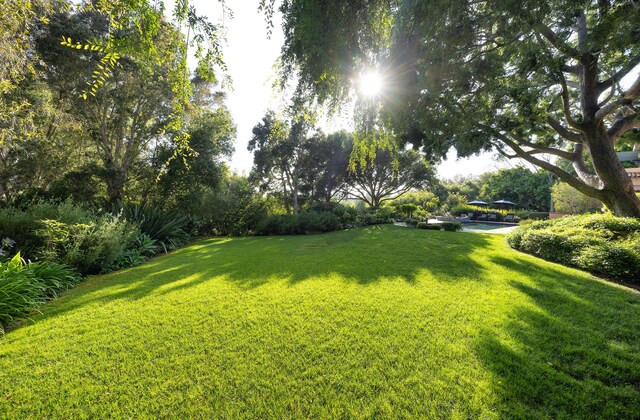 1029 Alston Rd, Montecito, CA 93108 - photo 12