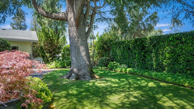 1334 Edison St, Santa Ynez, CA 93460 - photo 31