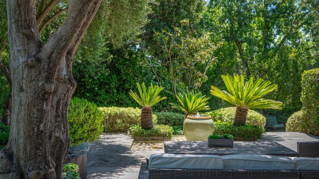 1334 Edison St, Santa Ynez, CA 93460 - photo 40