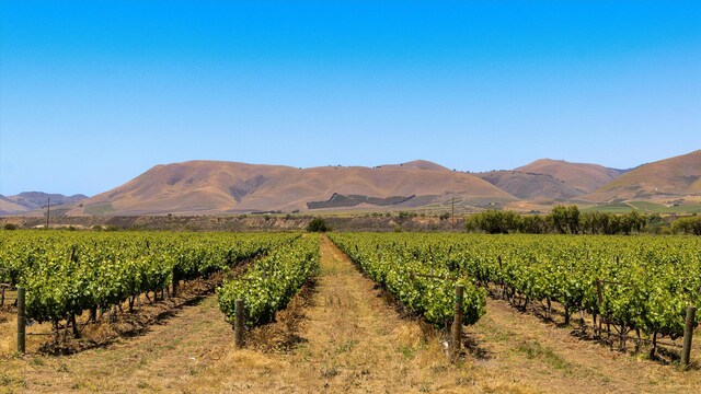 5500 Foxen Canyon Rd, Santa Maria, CA 93454 - photo 18