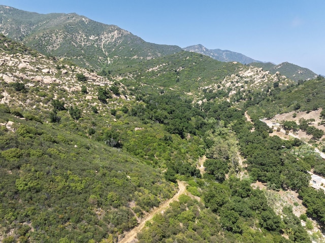 1067 E Mountain Dr, Santa Barbara, CA 93108 - mountain view featuring a heavily wooded area