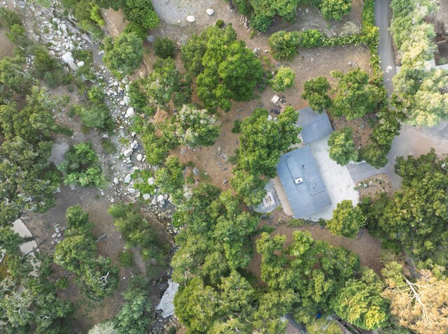 1067 E Mountain Dr, Santa Barbara, CA 93108 - aerial view of property's location